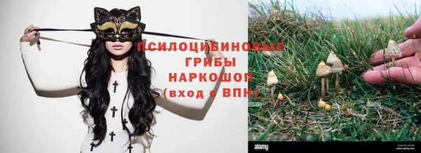 скорость Балахна