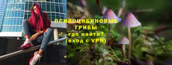 а пвп мука Балабаново